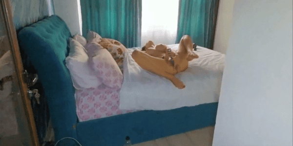 หนังโป้ ทีเด็ดหนุ่มเพื่อนบ้าน หนุ่มเพื่อนบ้านมาหาเพื่อนบ้านสาวสุดท้ายได้เสียว